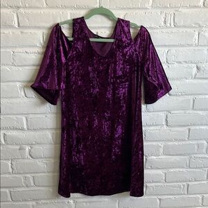 Fun Purple Velvet Dress